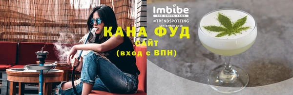 молекула духа Новозыбков