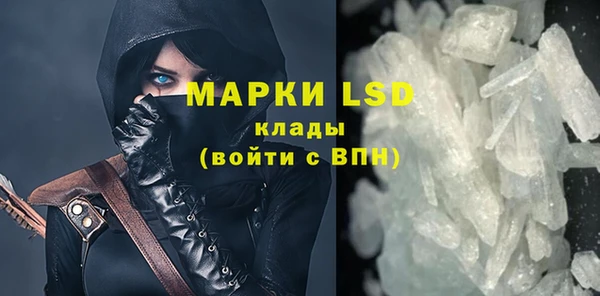 молекула духа Новозыбков