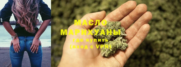 молекула духа Новозыбков