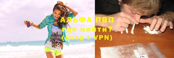 молекула духа Новозыбков