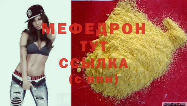 молекула духа Новозыбков