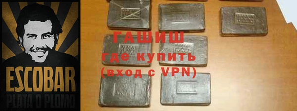 молекула духа Новозыбков