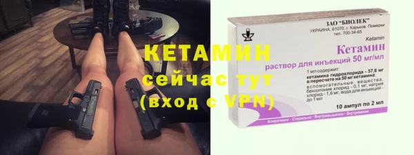 первитин Заполярный