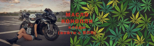 молекула духа Новозыбков