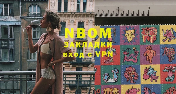 молекула духа Новозыбков