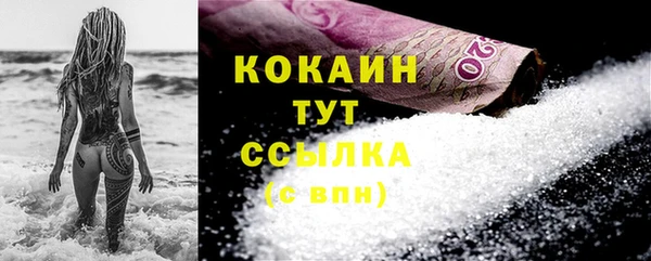 молекула духа Новозыбков