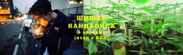молекула духа Новозыбков
